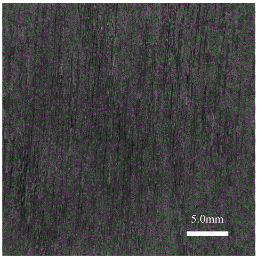 A magnetically responsive wood/fe  <sub>3</sub> o  <sub>4</sub> Preparation method of composite material