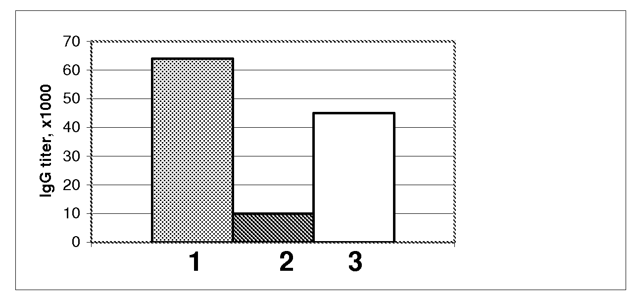 Process for the production of monoclonal antibodies