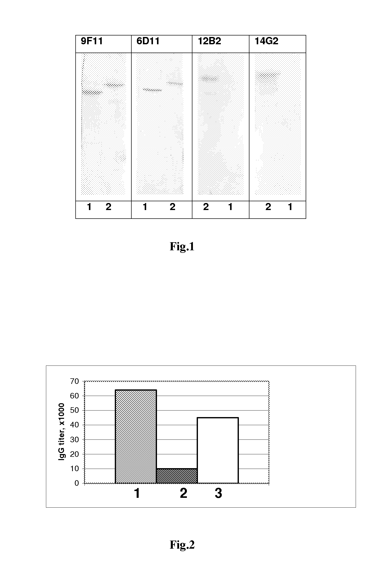 Process for the production of monoclonal antibodies