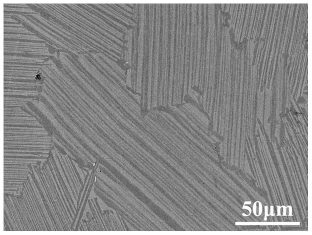 Ruthenium-containing multi-component TiAl alloy suitable for temperature of 800 DEG C