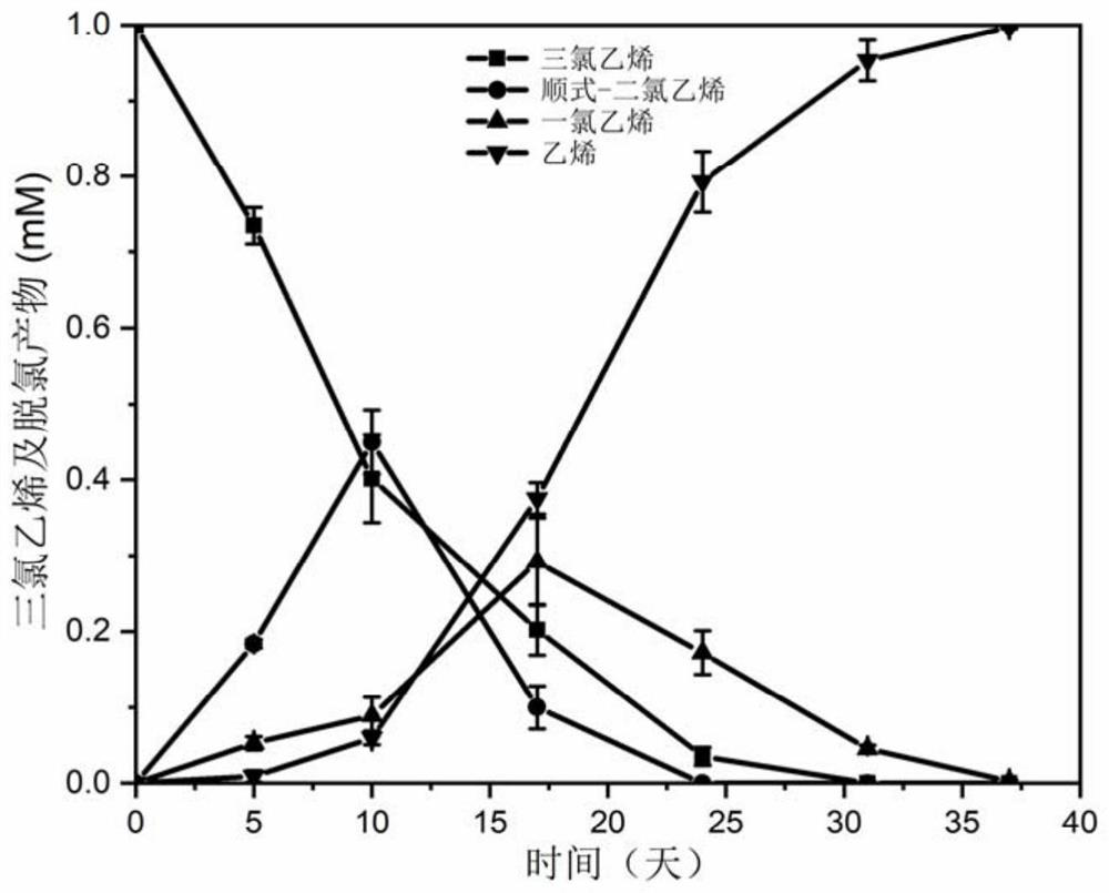 Anaerobic dehalogenation microbial agent and amplified production method thereof