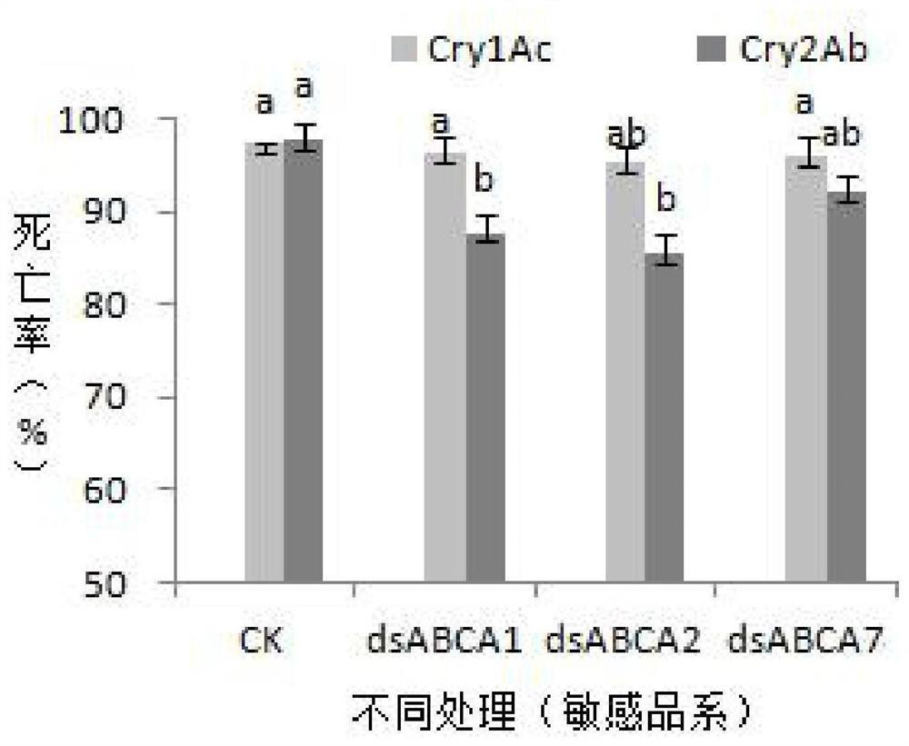 Application of ABC transport protein to agricultural pest mite control and Bt resistance management