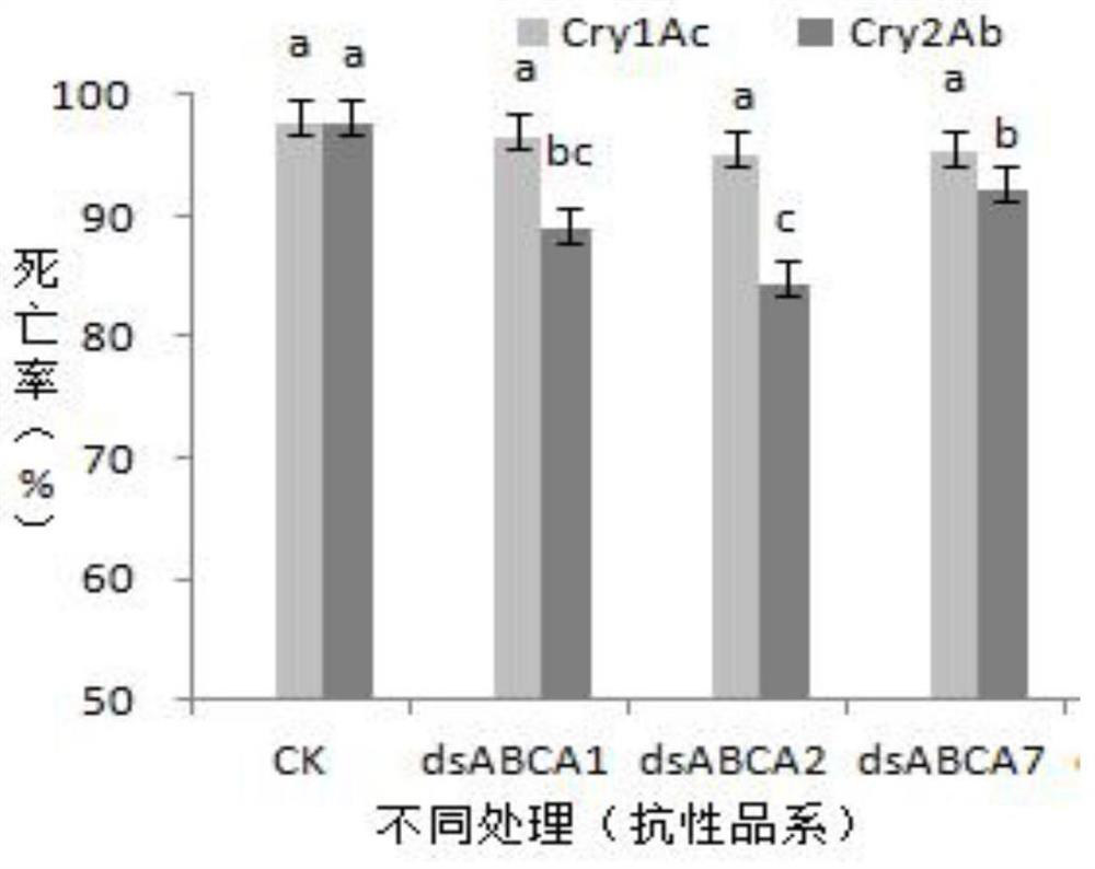 Application of ABC transport protein to agricultural pest mite control and Bt resistance management