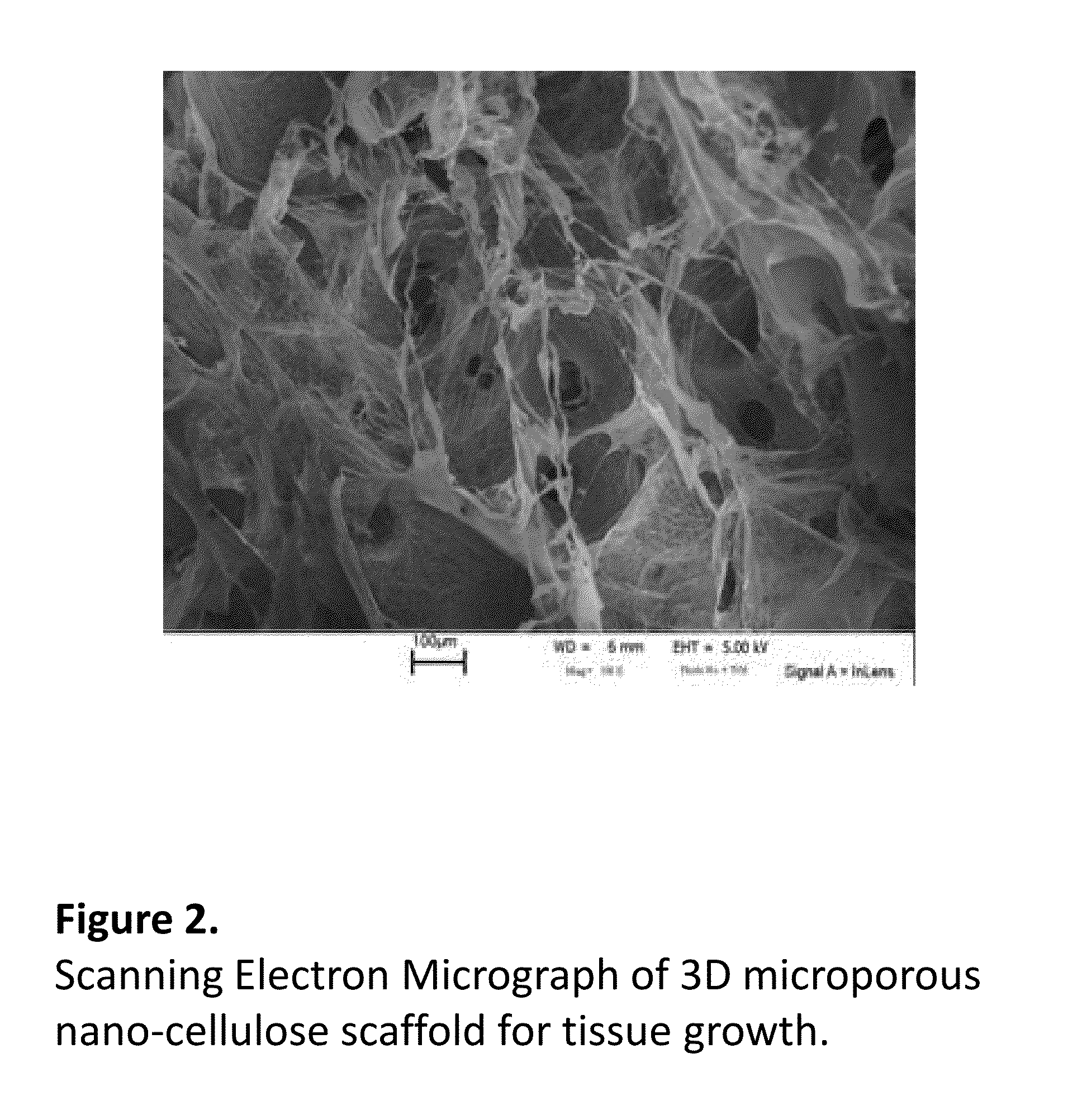 Pharmacology Bioassays for Drug Discovery, Toxicity Evaluation and in vitro Cancer Research Using a 3D Nanocellulose Scaffold and Living Tissue