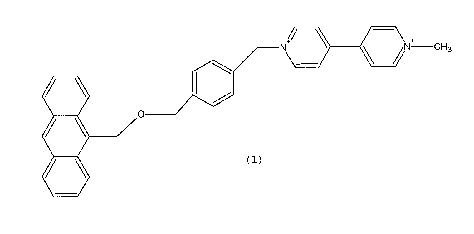 Bifunctional chemical, preparation and use for detecting nucleic acid