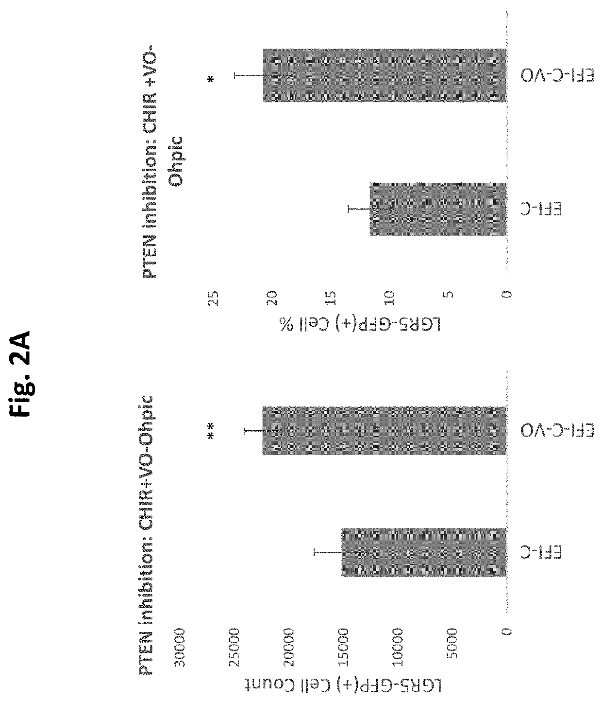 Compositions and methods for generating hair cells by upregulating pi3k