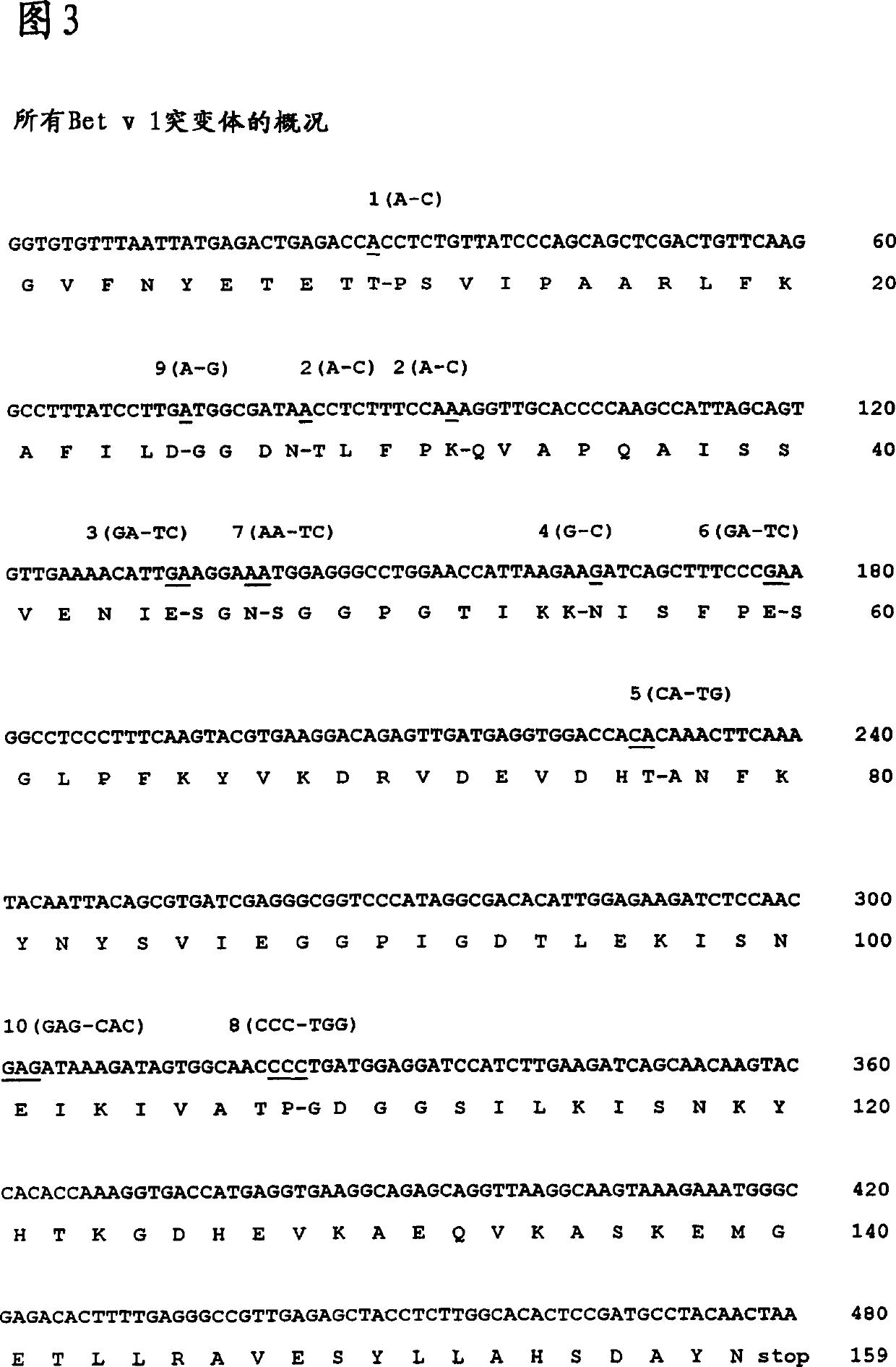 Novel mutant allergens