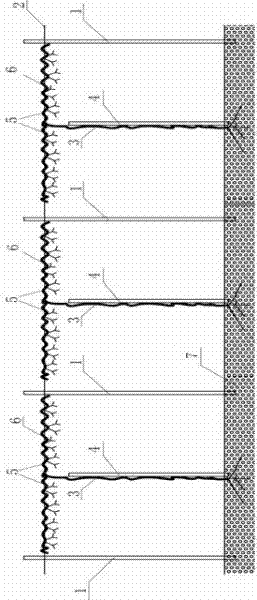 High-vertical-rack grape cultivation method