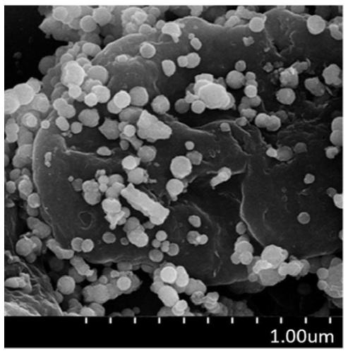 Magnetic sulfur, iron and carbon compound porous environment-friendly material and green preparing method and application thereof