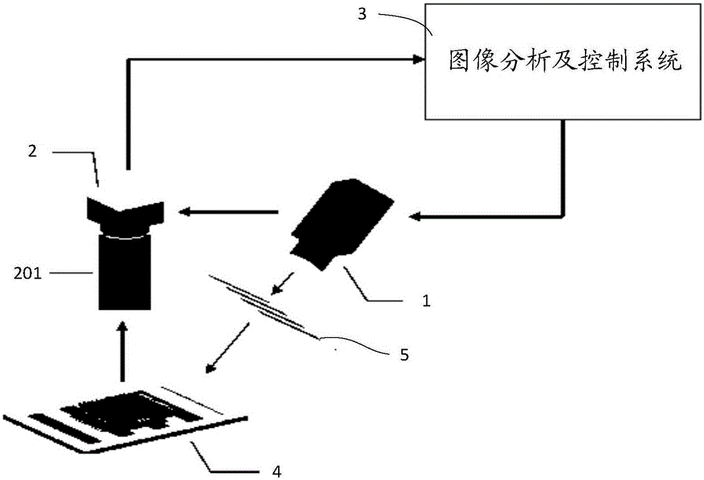 Three-dimensional measuring system capable of reducing light reflection on surface of measured object