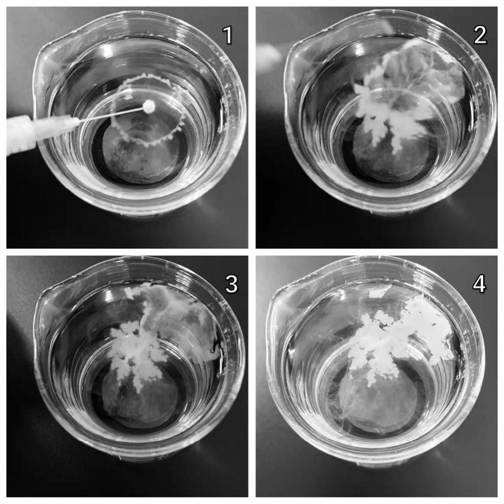 Anhydrous root canal disinfectant substrate with high flowability, disinfectant applying same and application