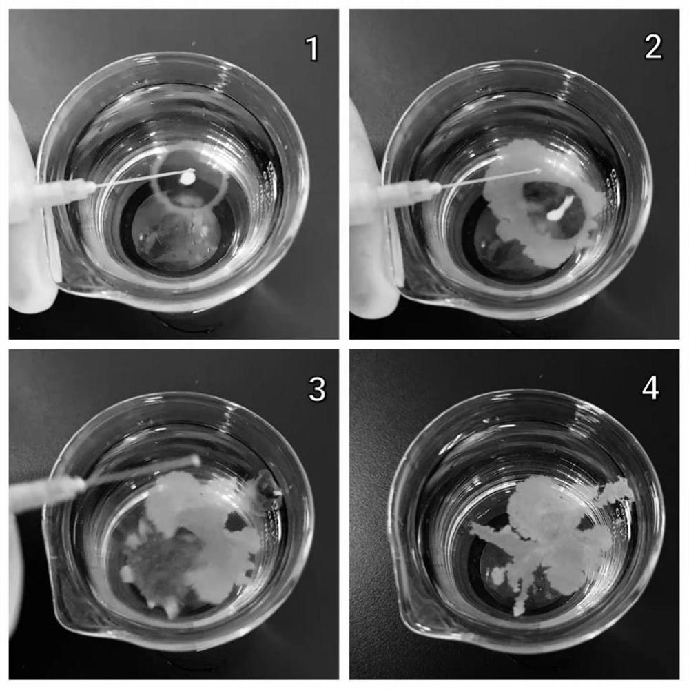 Anhydrous root canal disinfectant substrate with high flowability, disinfectant applying same and application