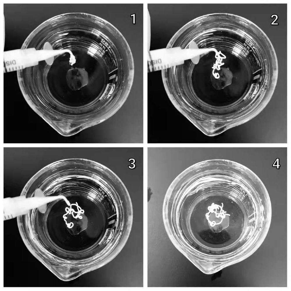 Anhydrous root canal disinfectant substrate with high flowability, disinfectant applying same and application