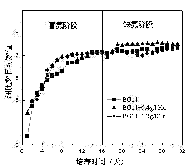 A method for improving the biomass and oil accumulation of oleaginous microalgae using a two-stage culture strategy of admixture and nitrogen-enrichment-nitrogen deficiency