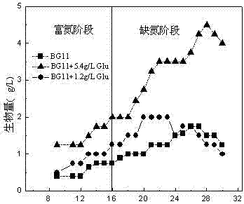 A method for improving the biomass and oil accumulation of oleaginous microalgae using a two-stage culture strategy of admixture and nitrogen-enrichment-nitrogen deficiency