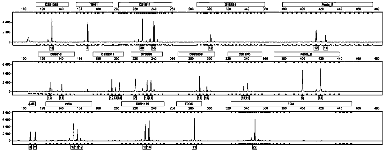 Method for removing mycoplasma contamination in tumor cells and application of method