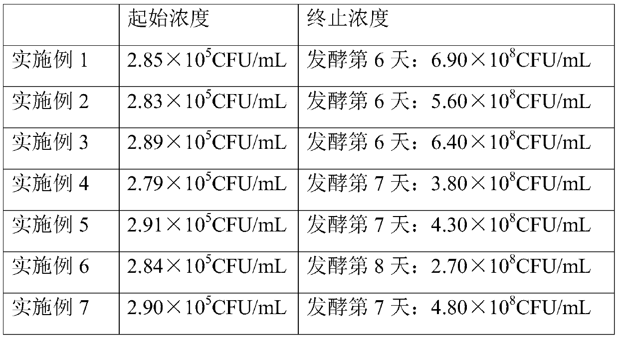 Folium mori protein hydrolysate, preparation method thereof and enzyme beverage prepared from folium mori protein hydrolysate