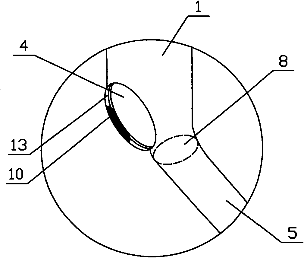 Single-cavity multi-bag trachea catheter