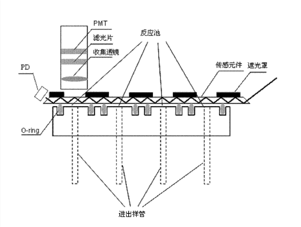 Multi-channel planar waveguide evanescent wave biosensor