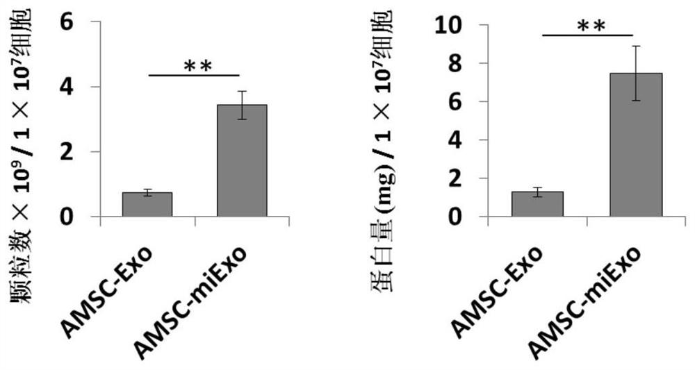 Preparation method and application of adipose-derived mesenchymal stem cell-like exosomes