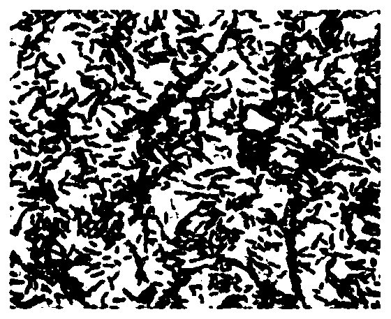 Nitration brevibacillus nitrificans bacterial strain YJ1 and application thereof