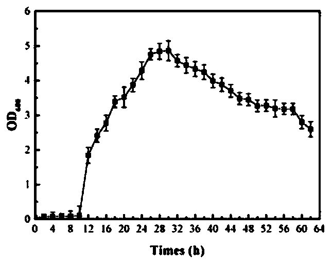 Nitration brevibacillus nitrificans bacterial strain YJ1 and application thereof