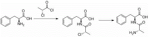 Preparation method for chiral L-alanyl-phenylalanine