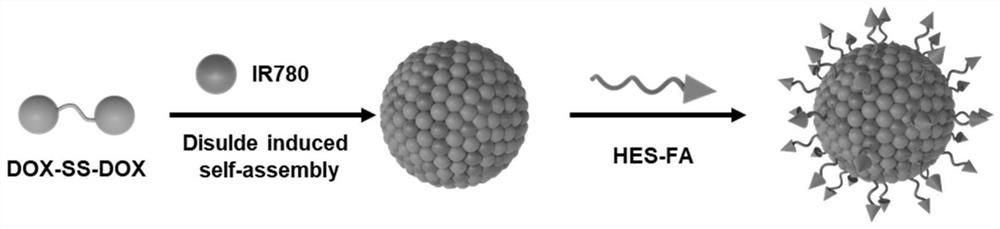 Nanometer drug-loading system of folic acid-hydroxyalkyl starch macromolecule stable co-loading photosensitizer and micromolecule prodrug, and preparation and application of nanometer drug-loading system