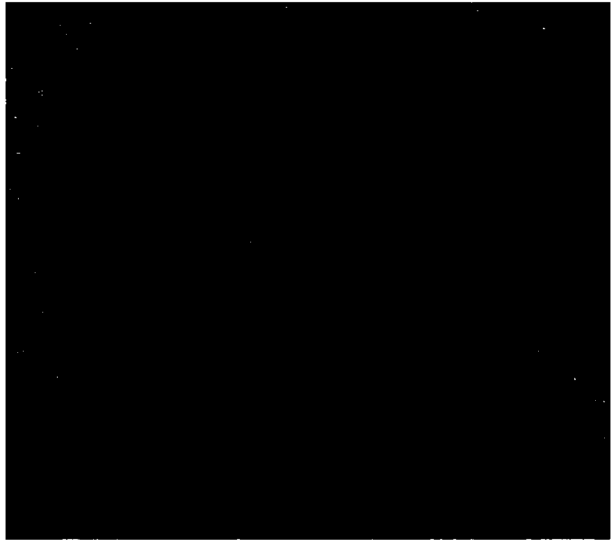 Targeted photothermal therapy combined with immunotherapy anti-tumor compound preparation and its preparation method and application