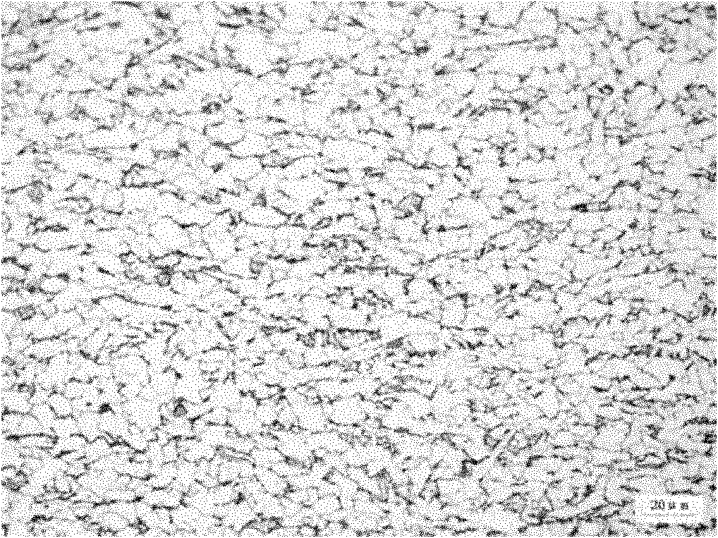 Method for producing hot-rolled steel coils