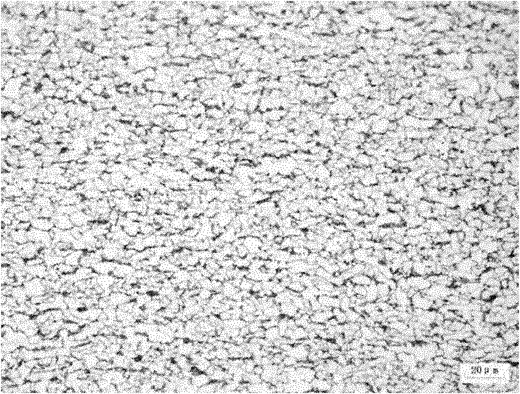 Method for producing hot-rolled steel coils