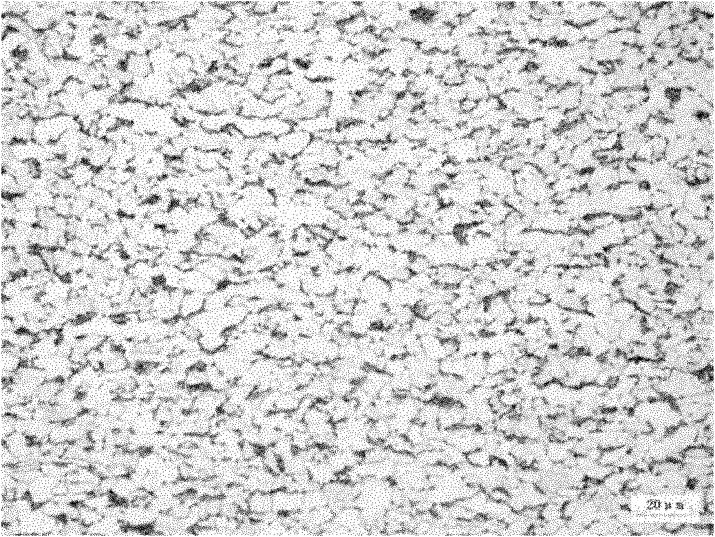 Method for producing hot-rolled steel coils