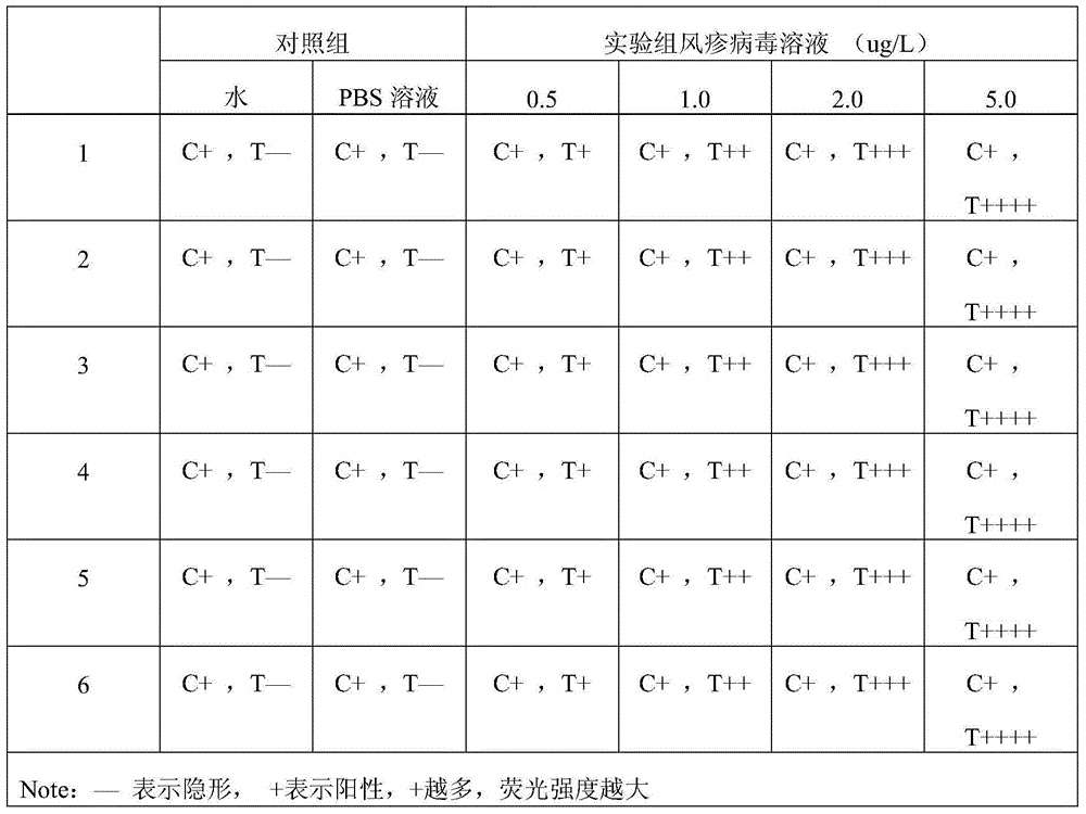 Method for detecting rubella virus, quantum dot-labeled immunochromatographic test paper and preparation method thereof