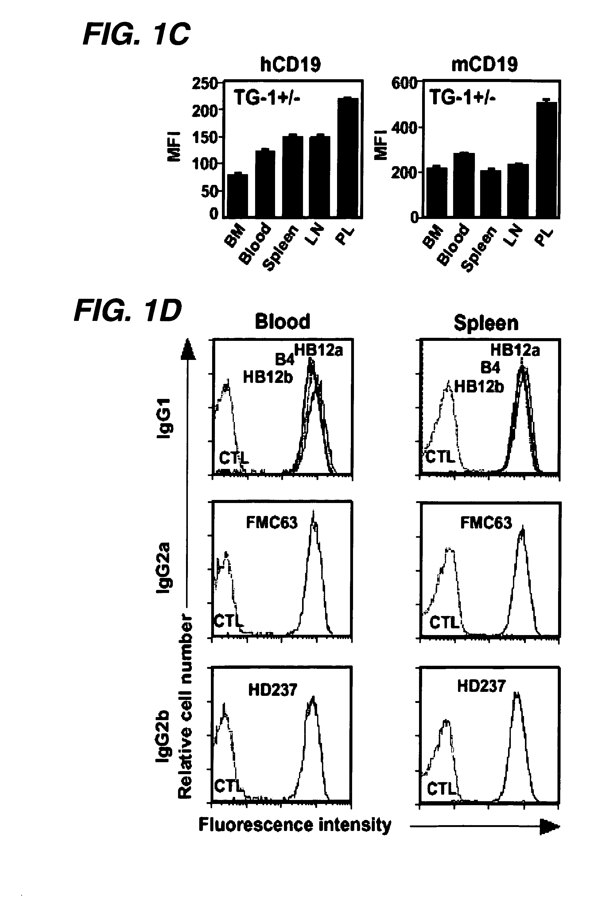 Anti-CD19 antibody therapy for autoimmune disease