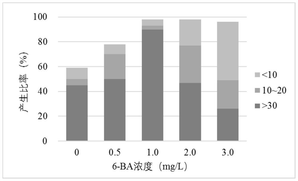 A method for tissue culture and rapid propagation of Quercus fern seedlings via somatic embryo pathway