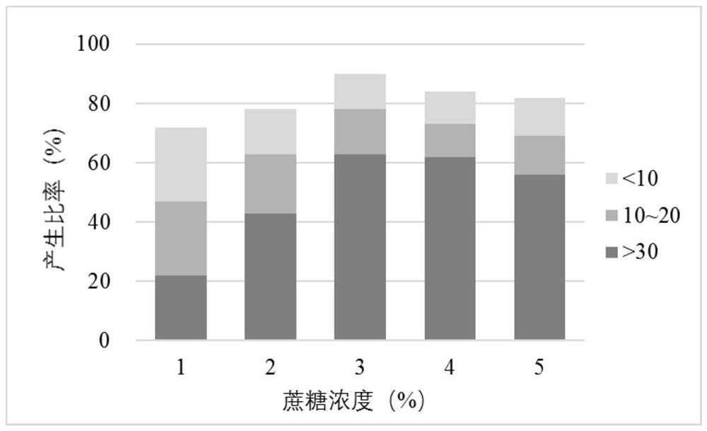 A method for tissue culture and rapid propagation of Quercus fern seedlings via somatic embryo pathway