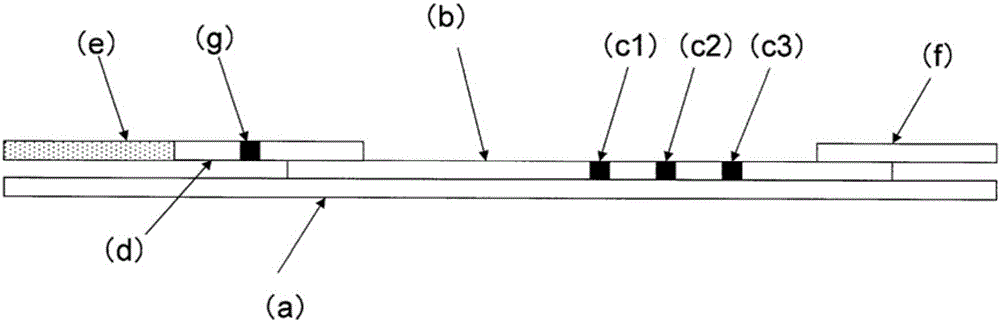 Immunochromatography-assisted detection method