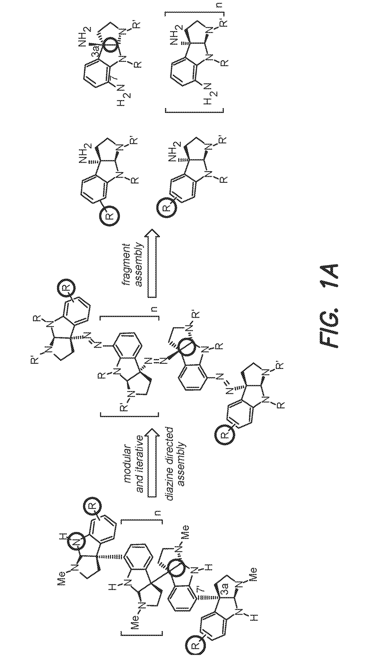 Diazene directed modular synthesis of compounds with quaternary carbon centers