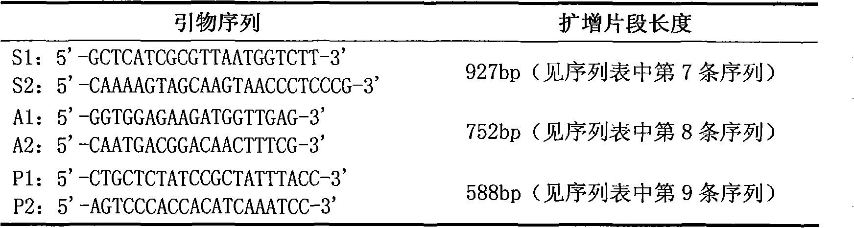 Multiple PCR detection method for porcine bacteria