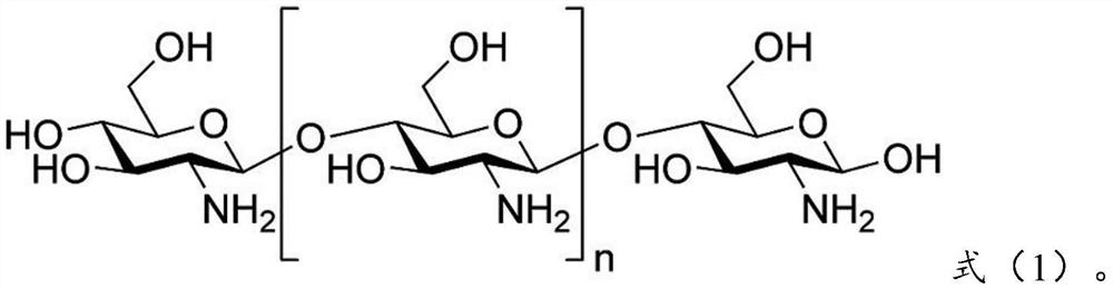 Chitosan-containing medicinal preparation, medicinal transdermal patch and preparation method of medicinal transdermal patch