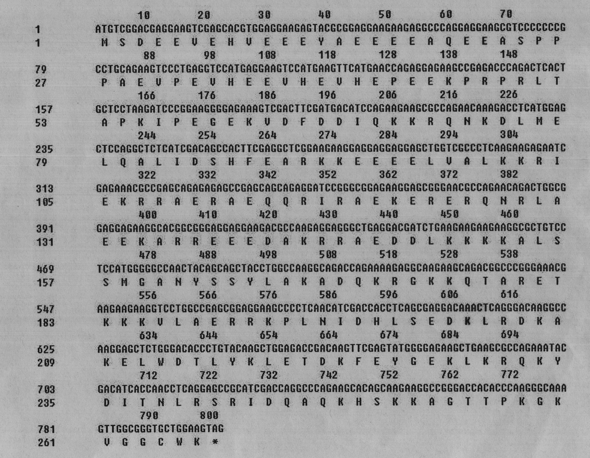 Goat TNNT3 (human fast skeletal troponin T) gene and method for cloning complete sequence of gene coding region of goat TNNT3 gene