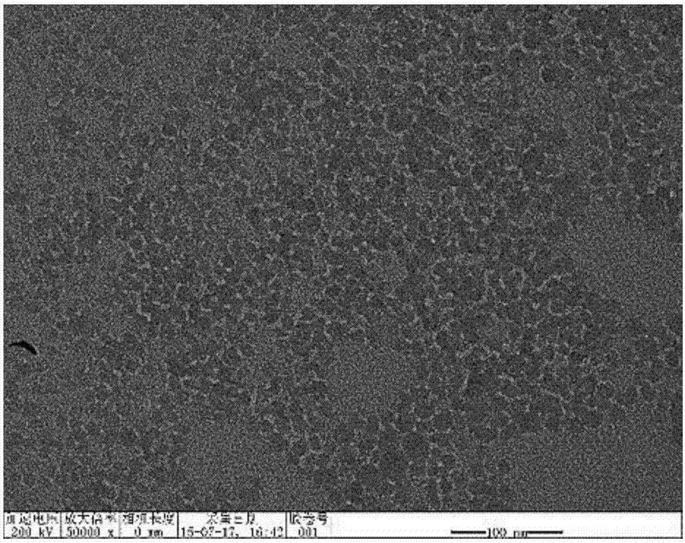 Preparation method of monodispersed mesoporous silica, and nano-composite foaming agent as well as preparation method and application thereof