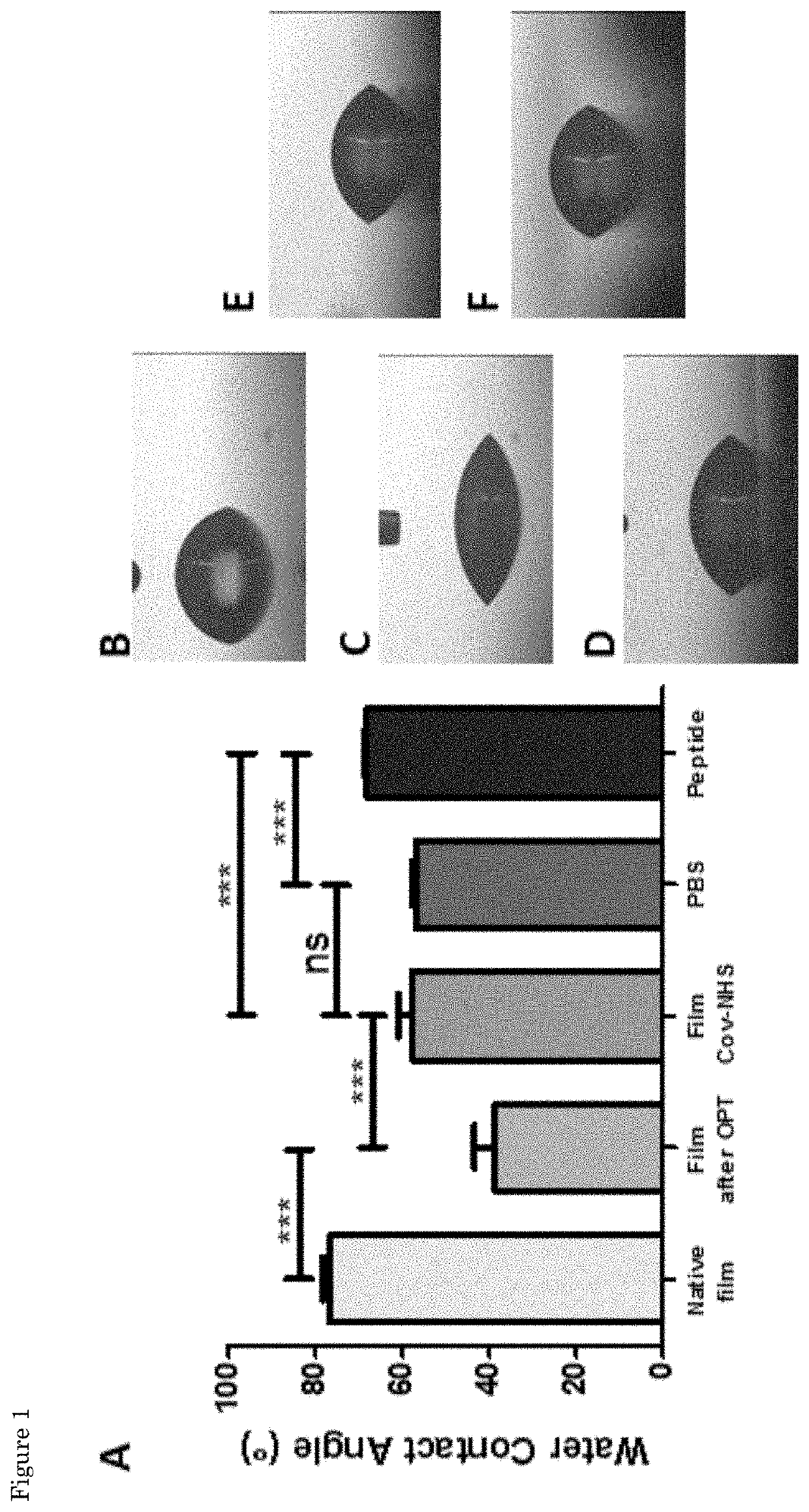 Functionalization of biopolymers with growth factor-binding peptides