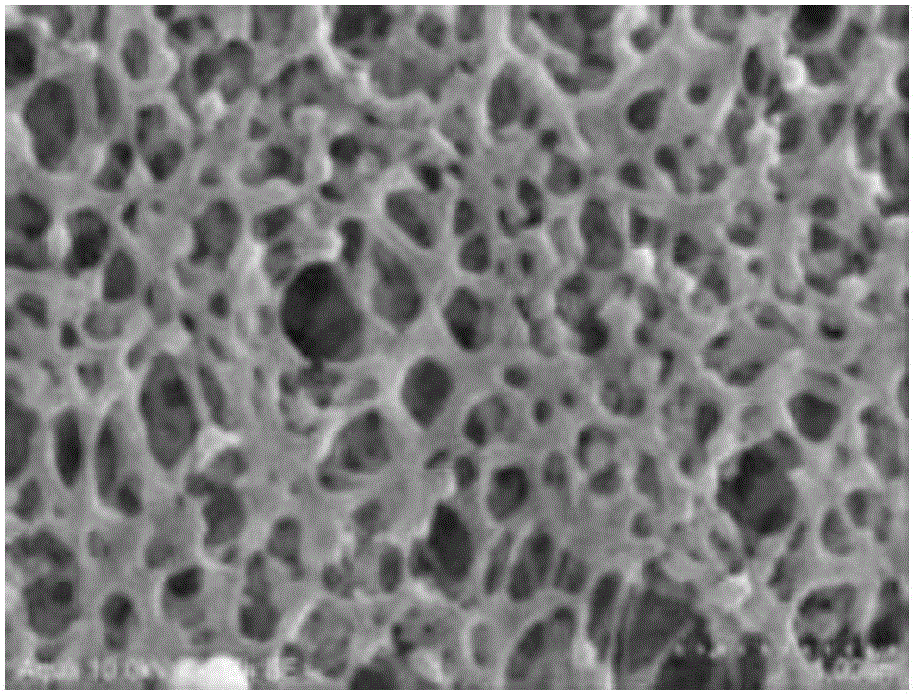 Porous hollow fiber membrane and method for manufacturing same