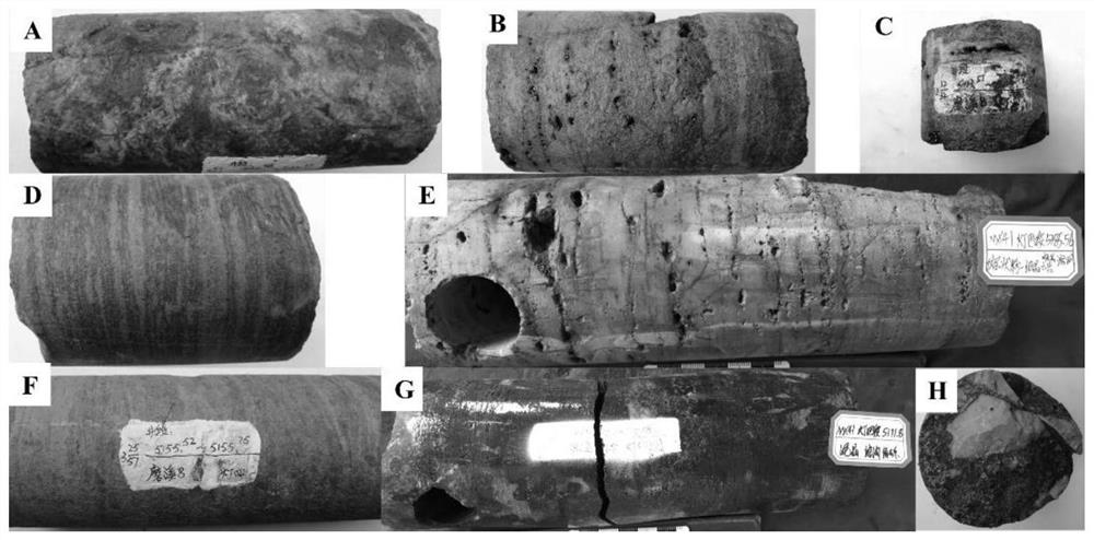 Quantitative evaluation method and device for solid asphalt of dense dolomite reservoir stratum