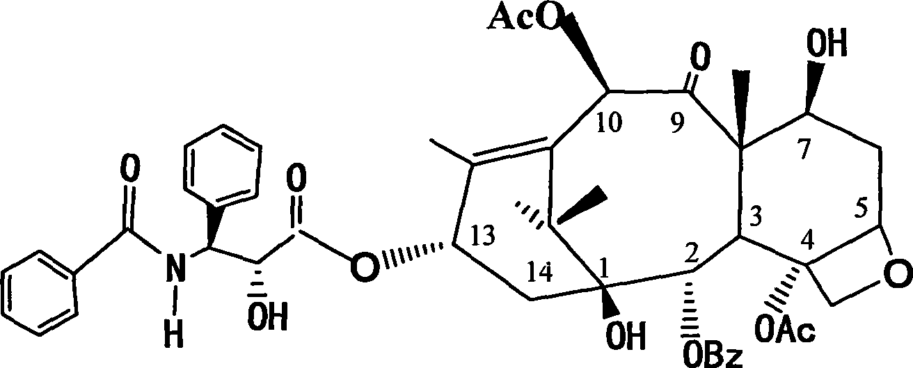 Method for preparing polyhydroxy taxone and paclitaxel