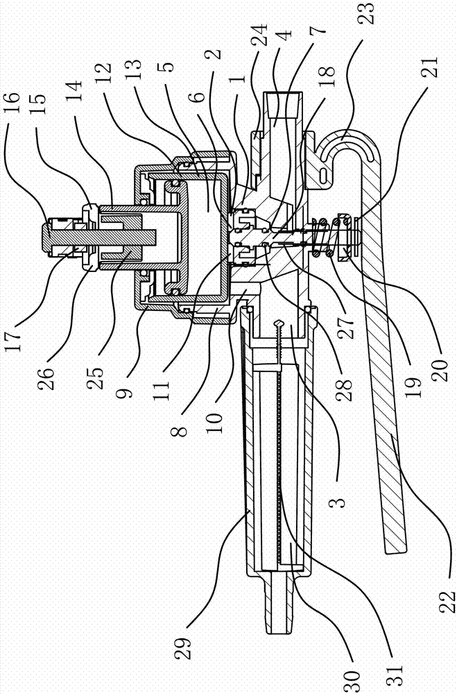 Automatic flow control switch