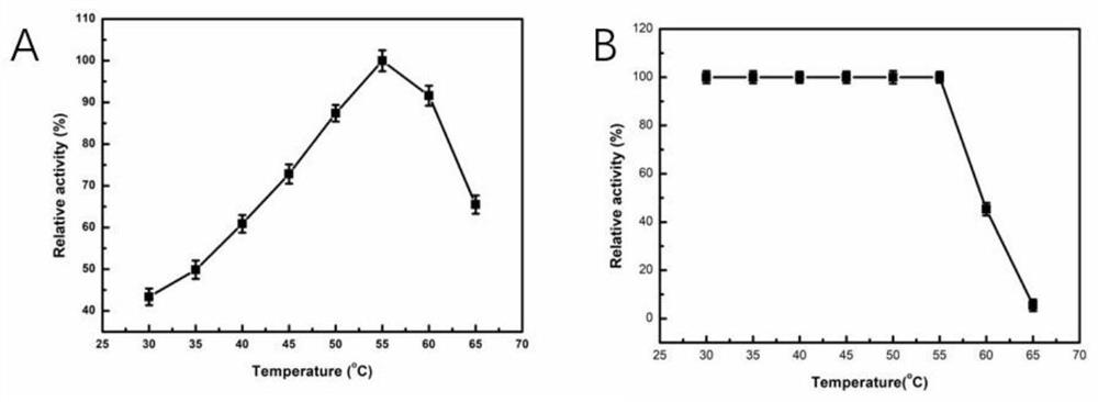 A screening method and application of high-efficiency endoxylanase producing bacteria