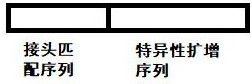 Primer composition for detecting human BRCA1 and BRCA2 gene mutation based on NGS method and reagent of primer composition