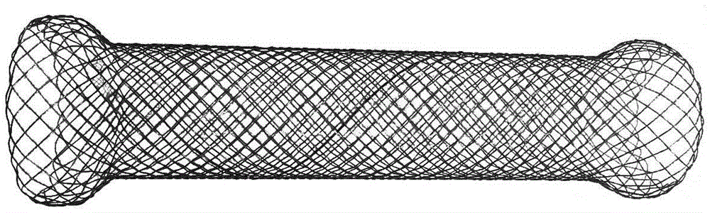 Nanogold film memory alloy esophageal stent and preparing method thereof